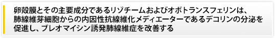 卵殻膜とその主要成分であるリゾチームおよびオボトランスフェリンは、肺線維芽細胞からの内因性抗線維化メディエーターであるデコリンの分泌を促進し、ブレオマイシン誘発肺線維症を改善する
