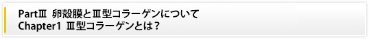 PartⅢ 卵殻膜とⅢ型コラーゲンについて|Chapter1　Ⅲ型コラーゲンとは？